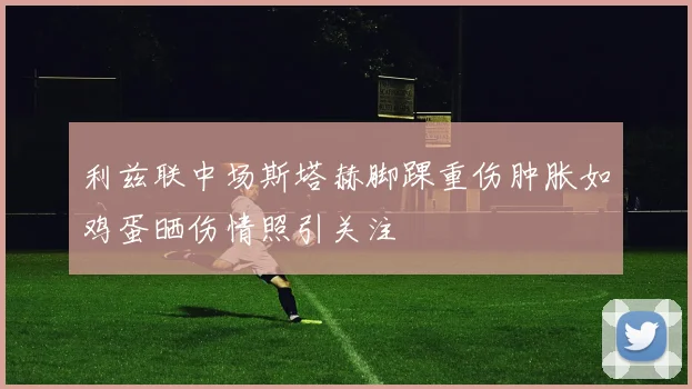 利兹联中场斯塔赫脚踝重伤肿胀如鸡蛋晒伤情照引关注